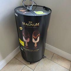 Magnum ice cream fridge for sale
