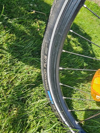 Electric bike