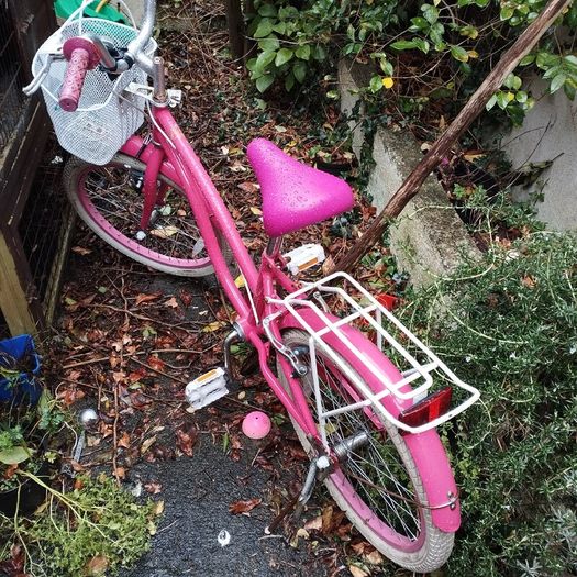 Two Bikes