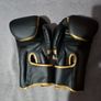Crane Boxing Gloves Black & Gold Image 4