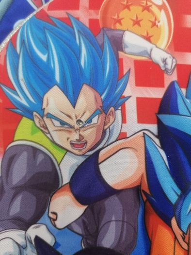 Dragonball Z 3D Schoolbag
