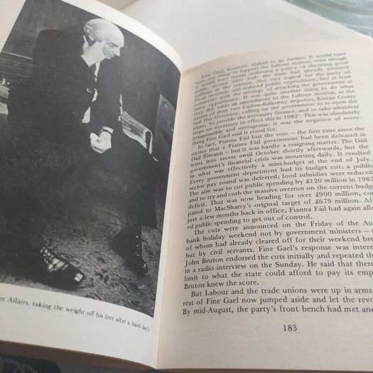Hiding Behind a Face: Fine Gael Under Fitzgerald