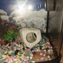 40 liter full glass aquarium with 2 filters and lots of extras Image 6