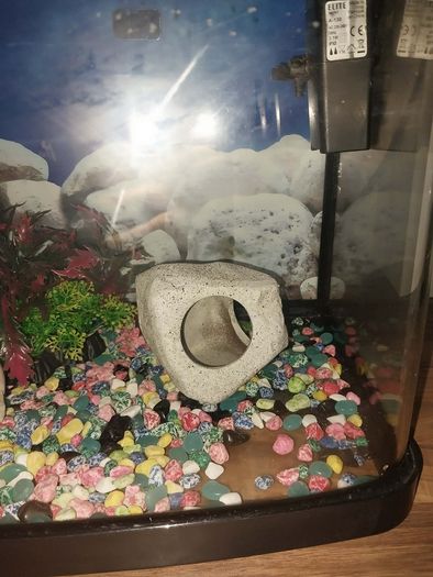 40 liter full glass aquarium with 2 filters and lots of extras