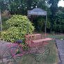 Garden centre bicycle, great talking piece, D18 Image 3