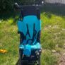 Buggy Image 3