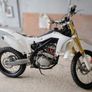 Dirt Bike 10ten 250rx Image 4