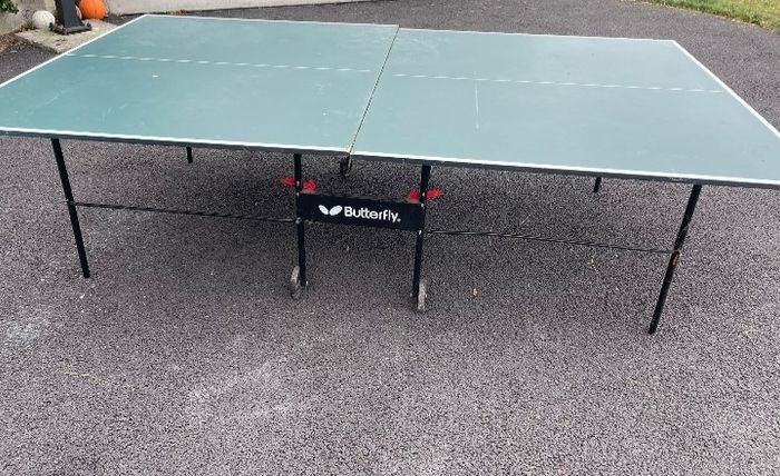 table tennis table