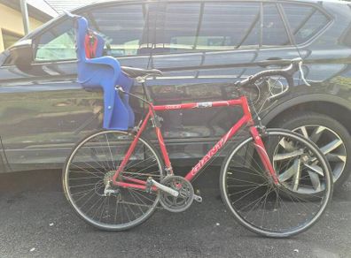 Child Bike Seat