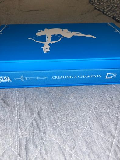 The Legend of Zelda Breath of the Wild Creating a Champion Hero's Edition