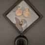 Fossilized prehistoric ammonites ,With display box. Image 4