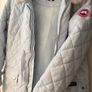 Canada Goose Image 2