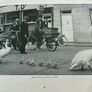Memories of Sligo through the years- James Eccles Image 7