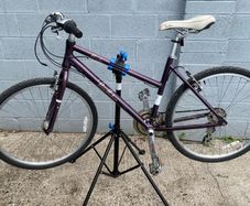 Pedleton Brooke