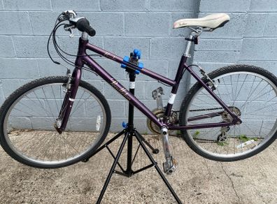 Pedleton Brooke