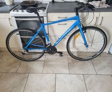 Trek bike