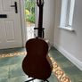 hofner nylon guitar Image 3