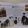 My Big Book of How When and Why Children,s Encyclopedia Hardback book Image 9