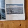 White Paradice. A Journey To The North Pole By Frances Latreille. Beautiful Large Coffee Table Book Filled With Pages Of Beautiful Illustrated Photography. Image 6
