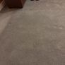 carpet Image 2