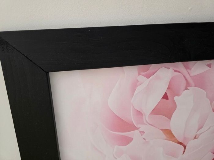 3 pictures with frame 53x72 cm