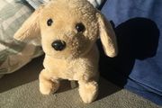 soft toy dog