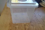 Plastic Storage Container for Sale