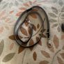Hunter neoprene leash Image 3