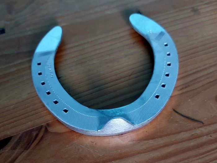 Lucky Horseshoe - Never Used