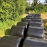 Silage Image 4