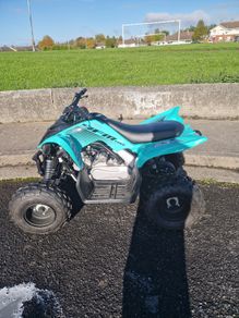 2026 yamaha raptor yfm 110r