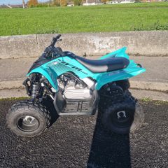 2026 yamaha raptor yfm 110r