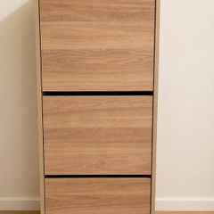 Shoe storage cabinet