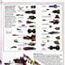 Star Wars - The Definitive Guide To The Craft Of Star Wars Image 4