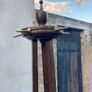 Antique Coat / Hat / Hall Stand Image 5
