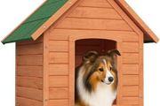 Wooden Dog House