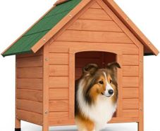 Wooden Dog House