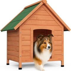 Wooden Dog House