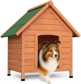 Wooden Dog House
