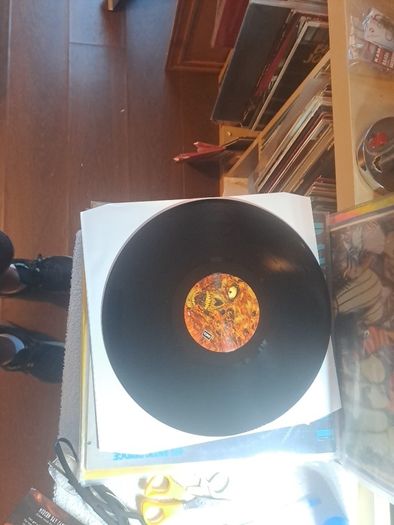 Vinyl.bonegnawers.