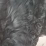 Black evening / debs dress, Image 6