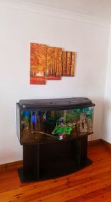 Fish tank