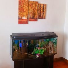 Fish tank