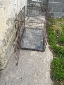 dog cage