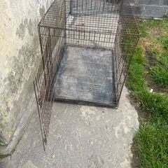 dog cage