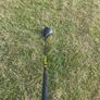 Cobra King F9 Driver Image 5