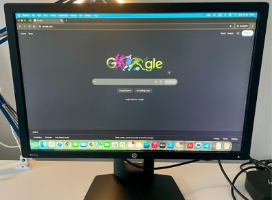 HP 24" Monitor (Mint Condition) - ALL Cables Included