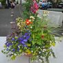 XL flower bowl Image 4