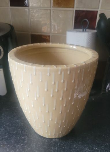 Large Ceramic Plant Pot