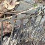 Metal Gates (Double Gate) in Kildare! Image 4